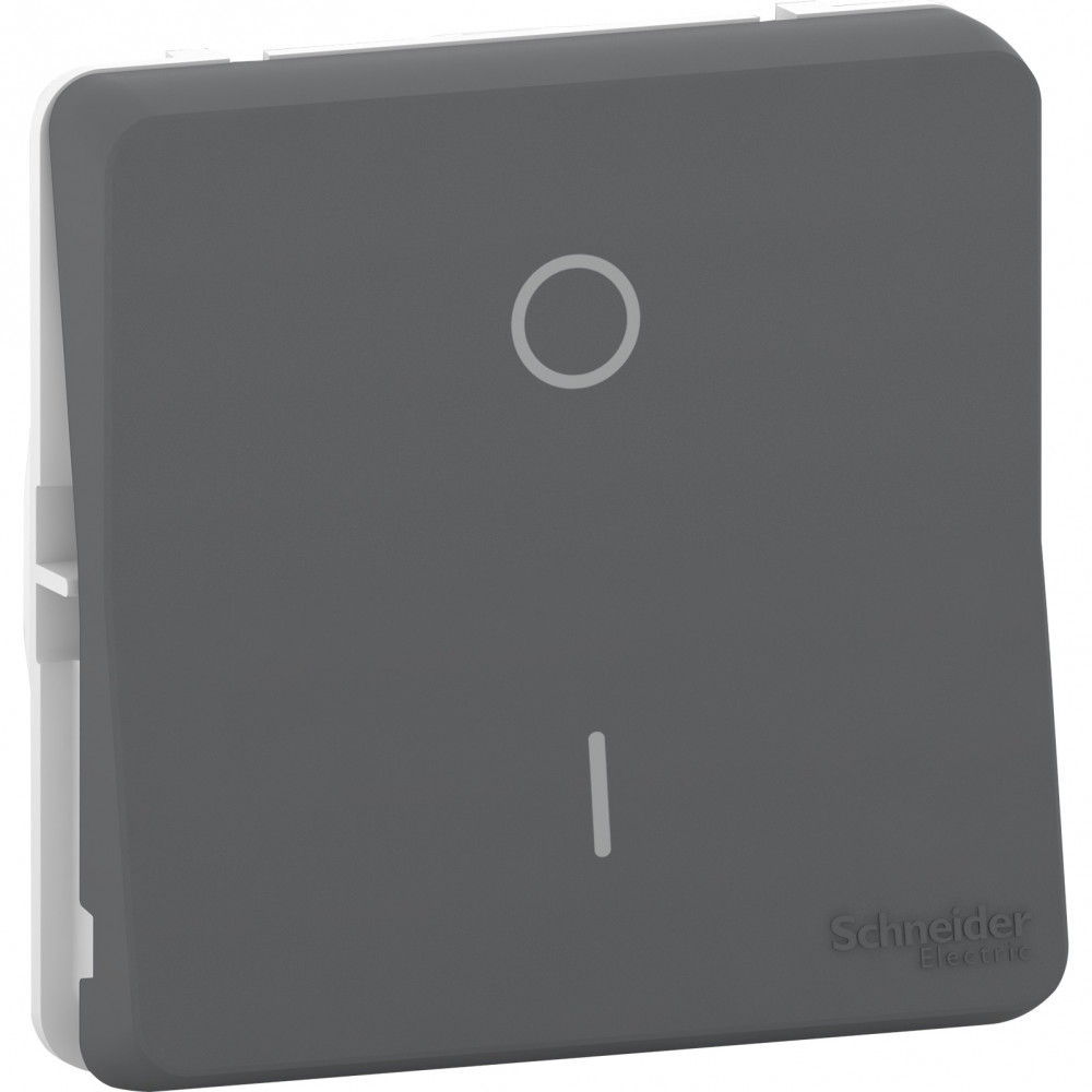 MUREVA S Одноклавишный переключатель 2-полюсный, 10АХ,250В, АНТРАЦИТ, IP55