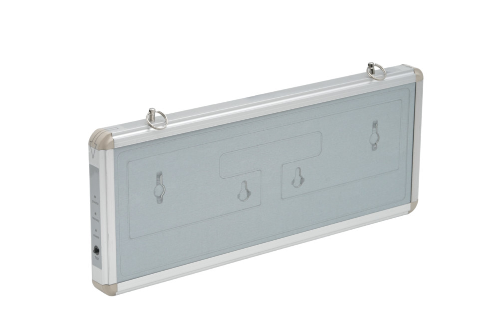 Светильник светодиодный аварийный ДСО-101-IP20 3Вт 1.5ч без пикт. односторонний