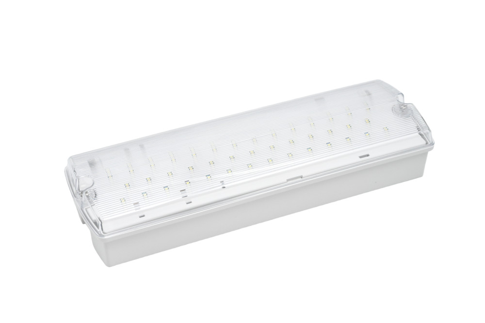 Светильник светодиодный аварийный ДСО-101-IP65-Н 3Вт 3ч без пиктограммы